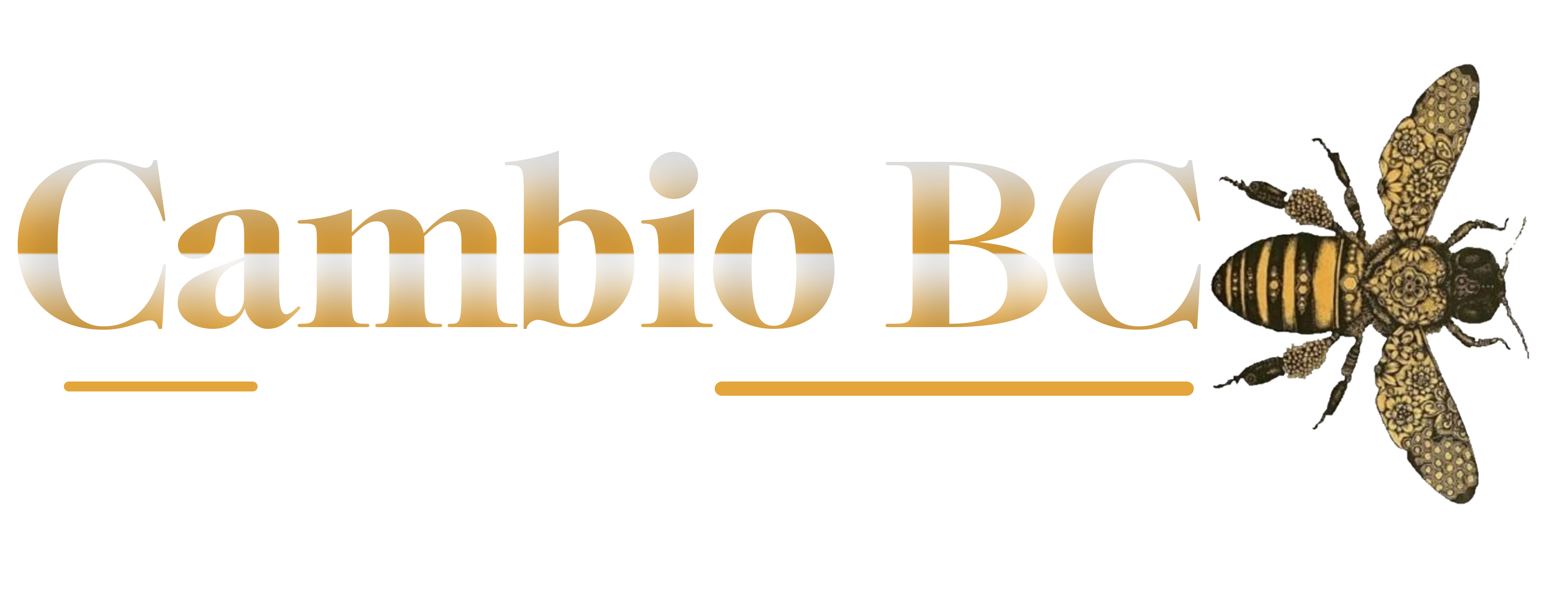 02 14 2025 Cambio BC